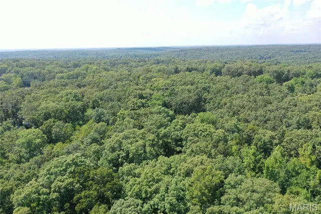 $58,500 | Tbd South Oak, Wappapello, MO 63966