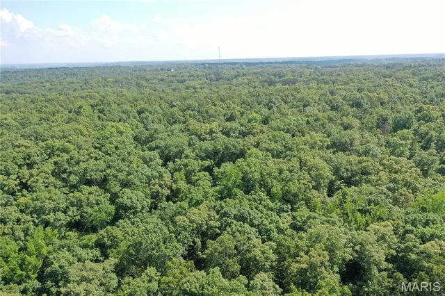 $58,500 | Tbd South Oak, Wappapello, MO 63966