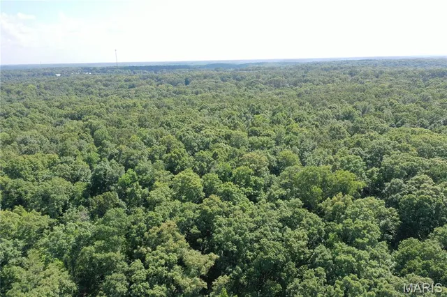 $58,500 | Tbd South Oak, Wappapello, MO 63966