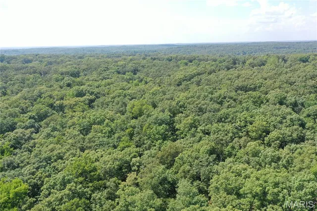 $58,500 | Tbd South Oak, Wappapello, MO 63966