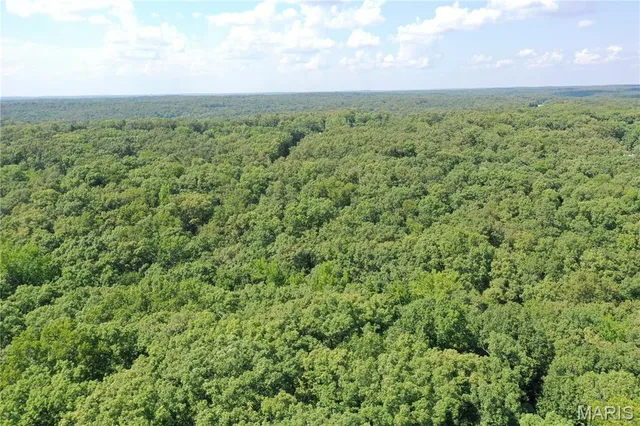 $58,500 | Tbd South Oak, Wappapello, MO 63966