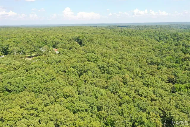 $58,500 | Tbd South Oak, Wappapello, MO 63966