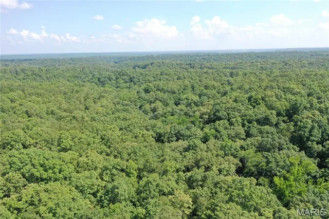 $58,500 | Tbd South Oak, Wappapello, MO 63966