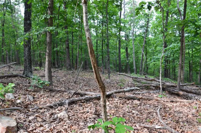 $58,500 | Tbd South Oak, Wappapello, MO 63966