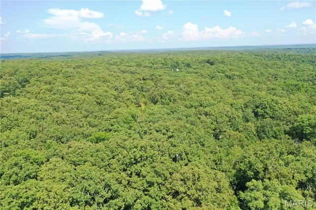 $58,500 | Tbd South Oak, Wappapello, MO 63966