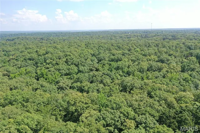 $58,500 | Tbd South Oak, Wappapello, MO 63966