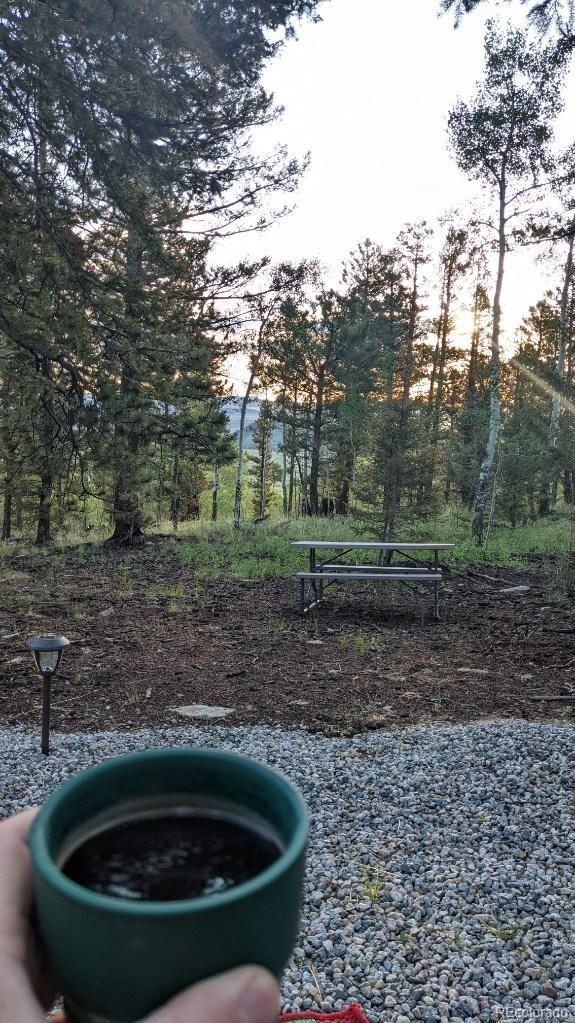 1714 Blacksmith Road Hartsel, CO 80449 - Photo 10 of 13