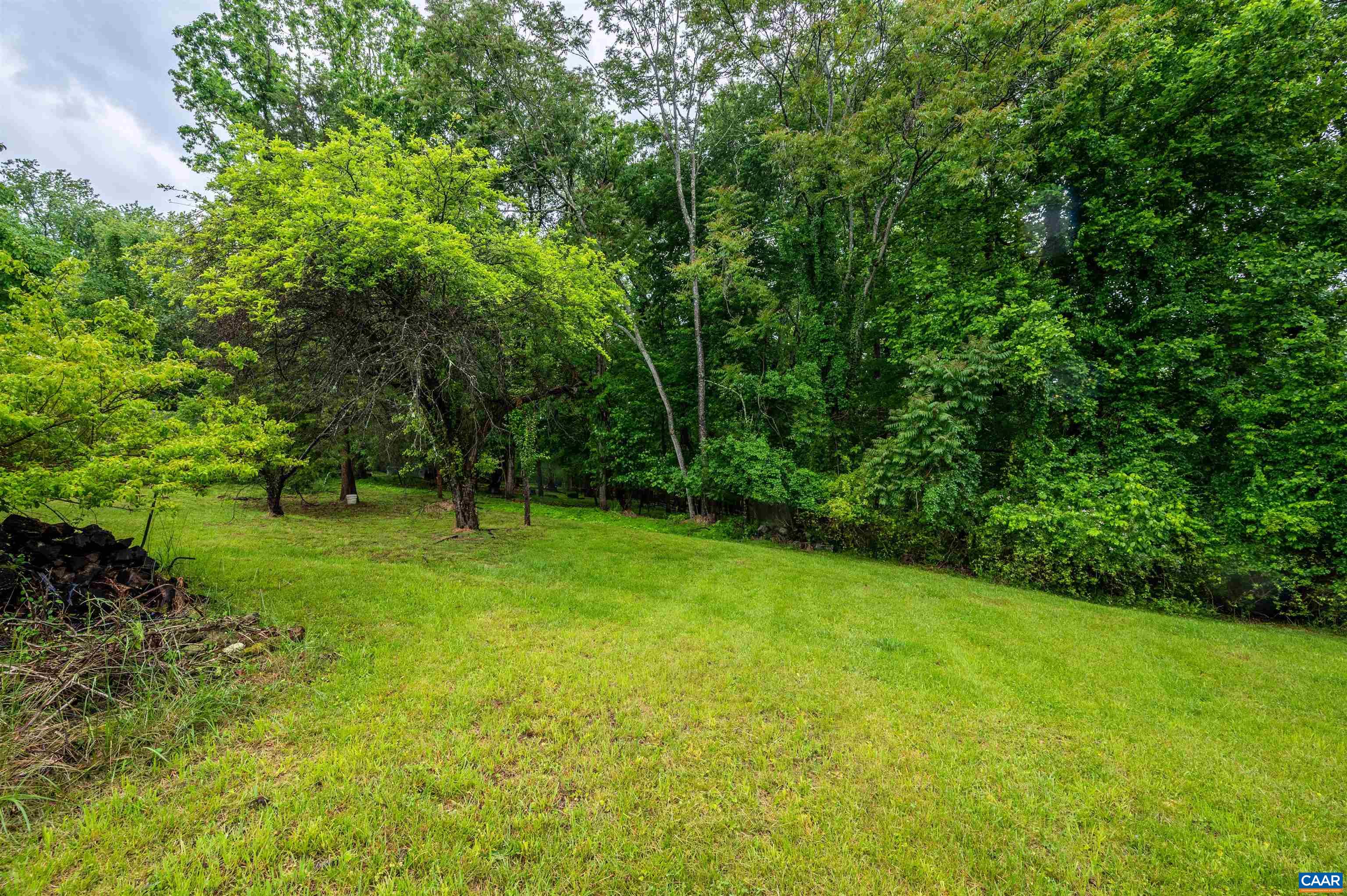 1126 Dry Bridge Road Charlottesville, VA 22903 - Photo 5 of 5 a view of a trees with a yard
