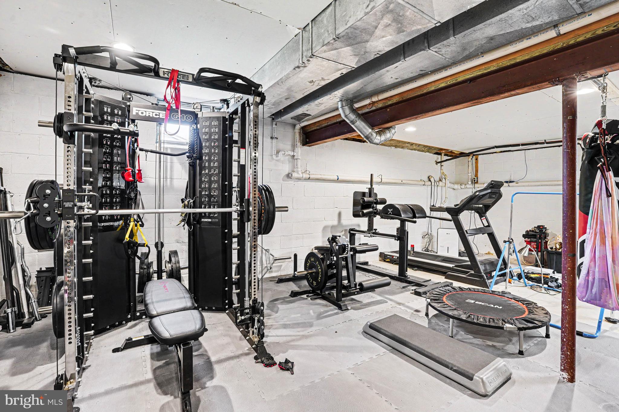 2333 Cox Road Jarrettsville, MD 21084 - Photo 32 of 39 Lower level workout area