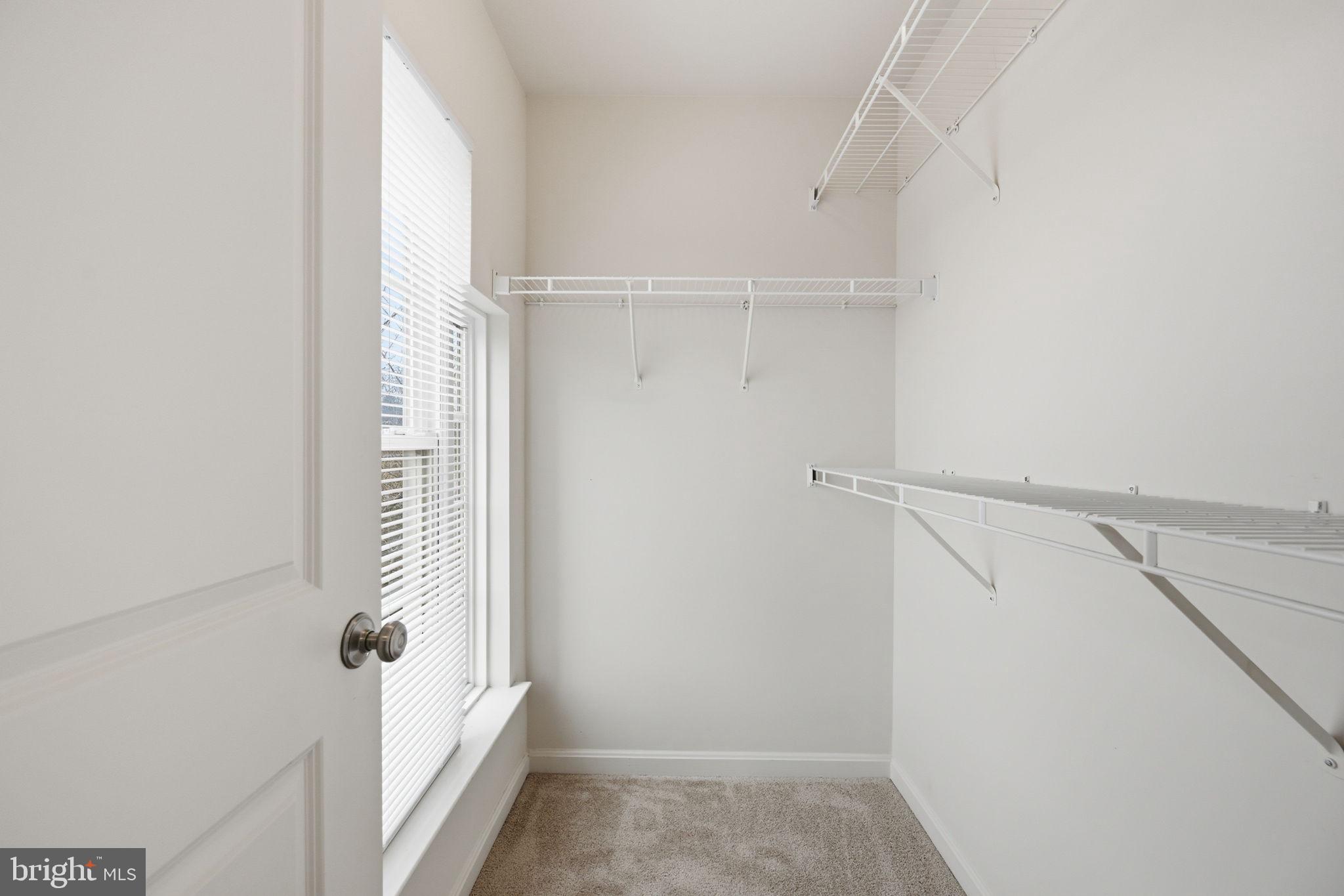 23710 Grapevine Ridge Terrace Clarksburg, MD 20871 - Photo 35 of 49 Gallery Image 35