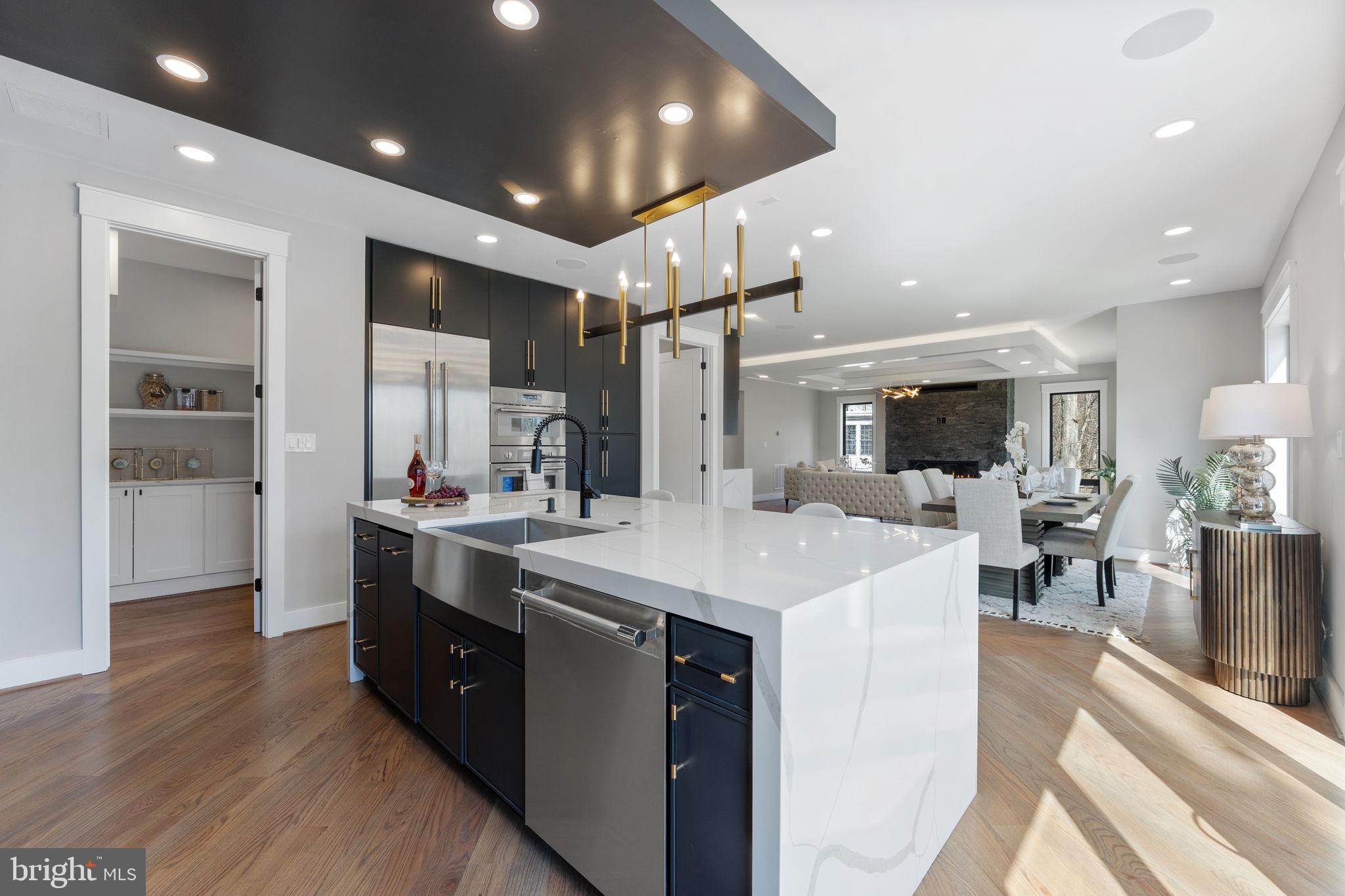 3113 Circle Hill Road Alexandria, VA 22305 - Photo 15 of 78 Oversized Islandf