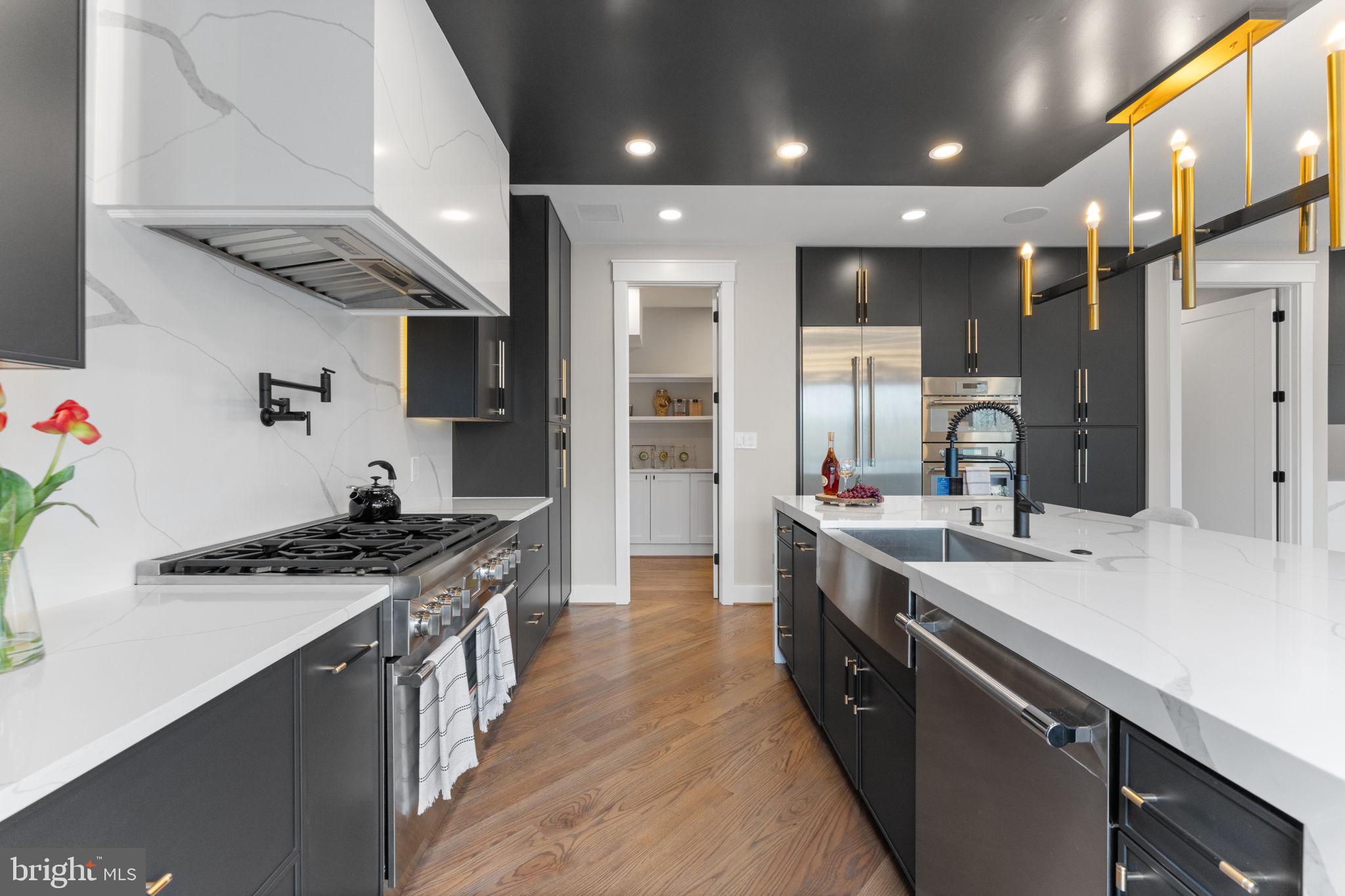 3113 Circle Hill Road Alexandria, VA 22305 - Photo 20 of 78 Luxurious quartz countertops