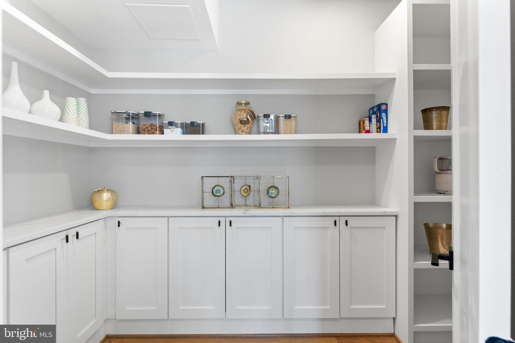 3113 Circle Hill Road Alexandria, VA 22305 - Photo 21 of 78 Large pantry