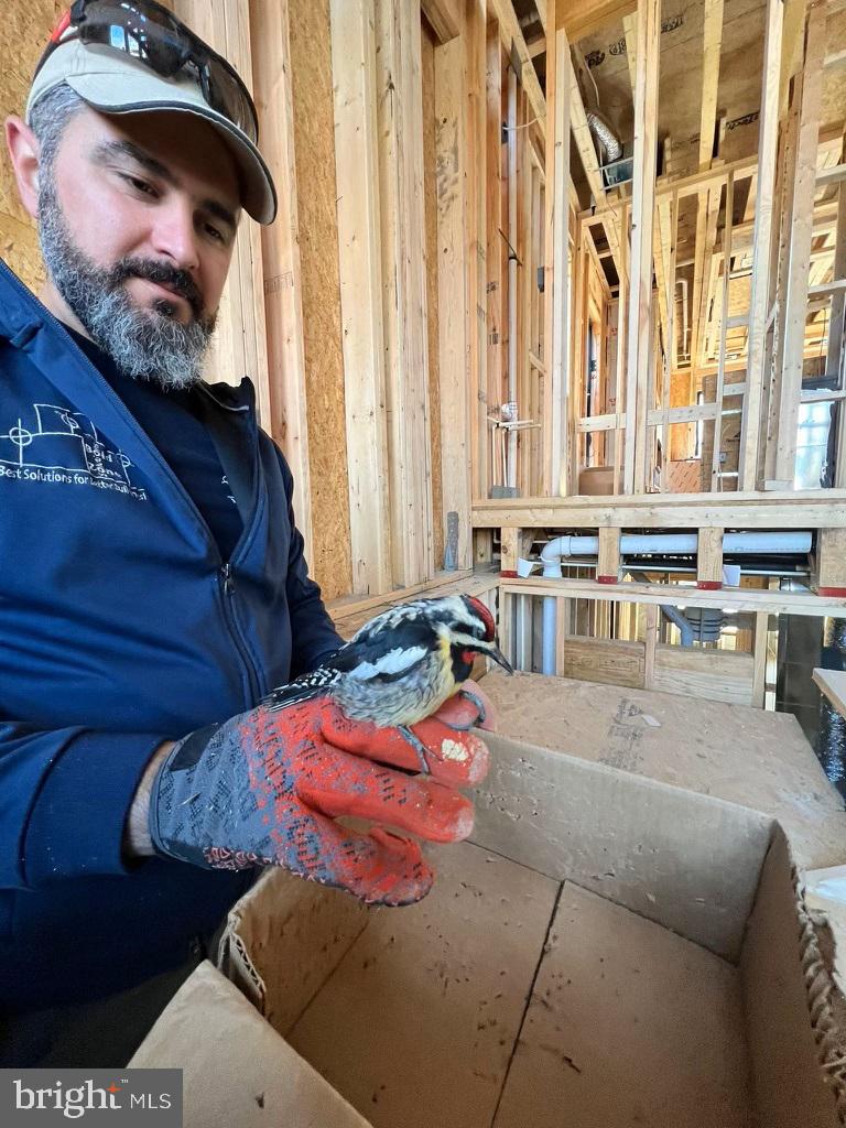 3113 Circle Hill Road Alexandria, VA 22305 - Photo 75 of 78 Construction crew had a mascot!
