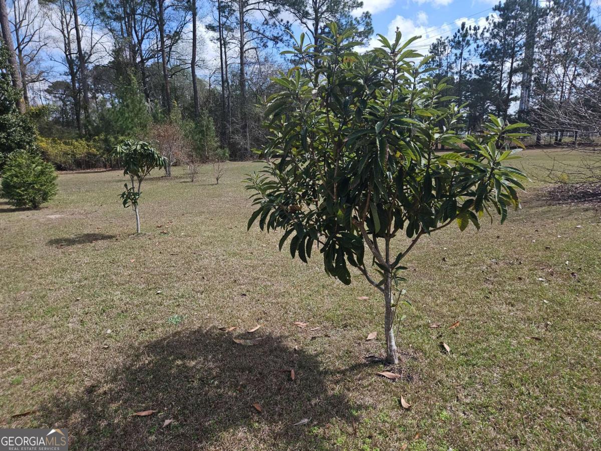 2001 Rutland Road, Unit 1 Tifton, GA 31793 - Photo 16 of 51 a view of a tree with a yard