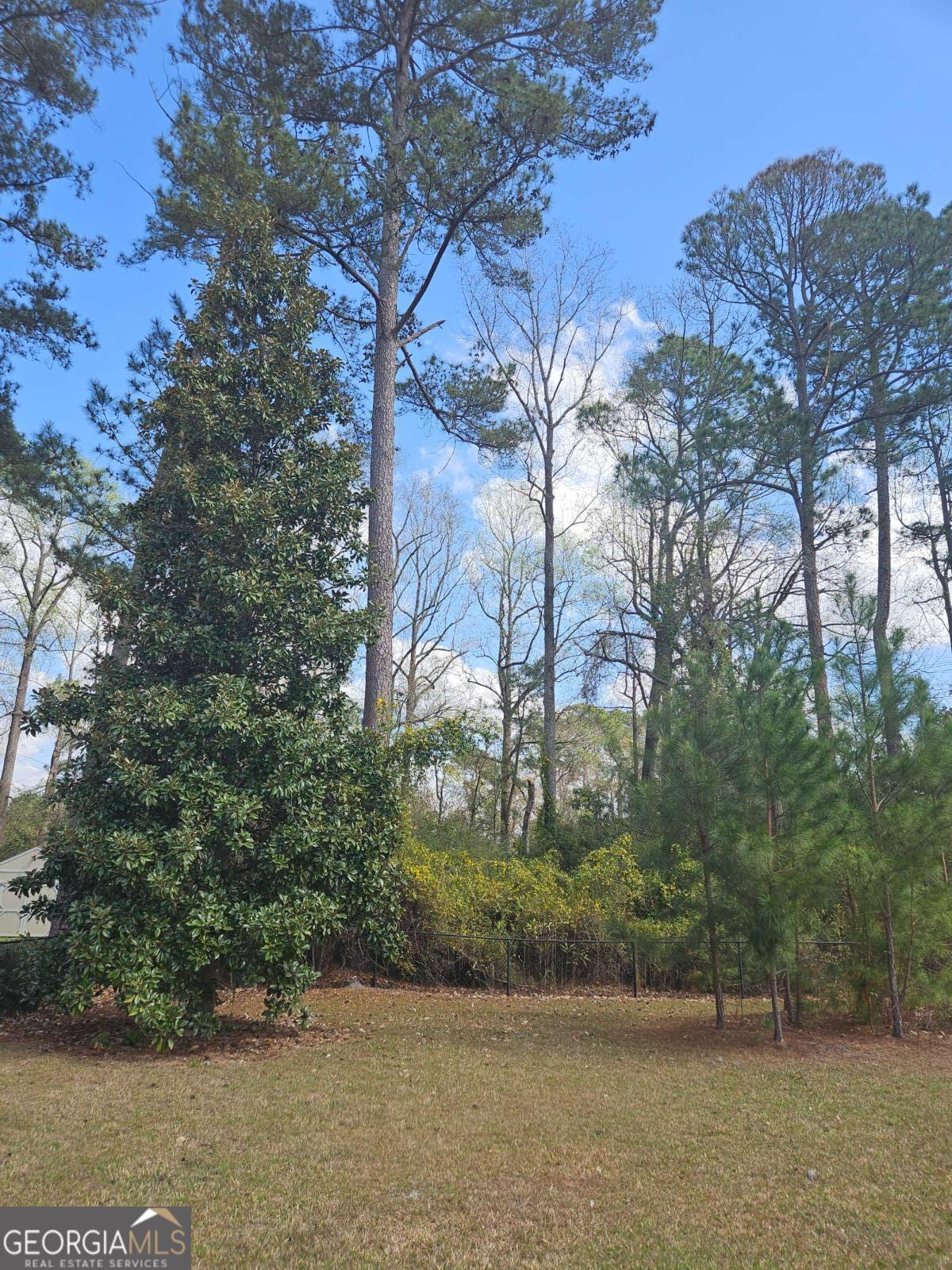 2001 Rutland Road, Unit 1 Tifton, GA 31793 - Photo 19 of 51 a view of a yard with a tree