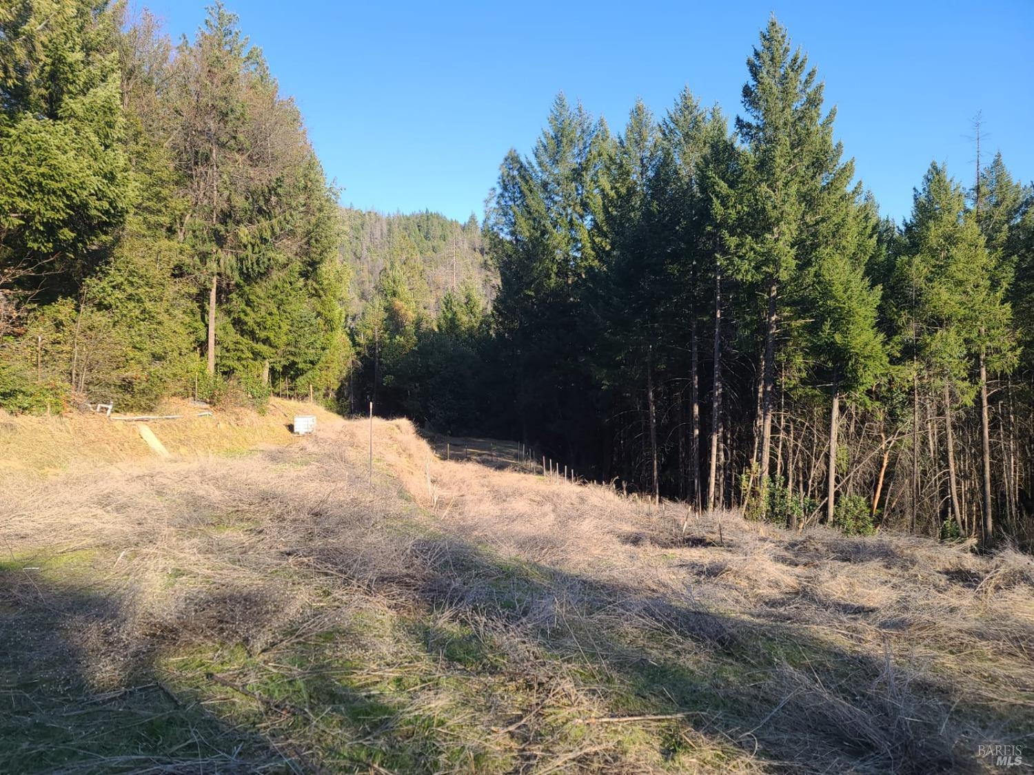 80250 Mina Road Covelo, CA 95428 - Photo 11 of 19 a view of a yard covered with snow in the background