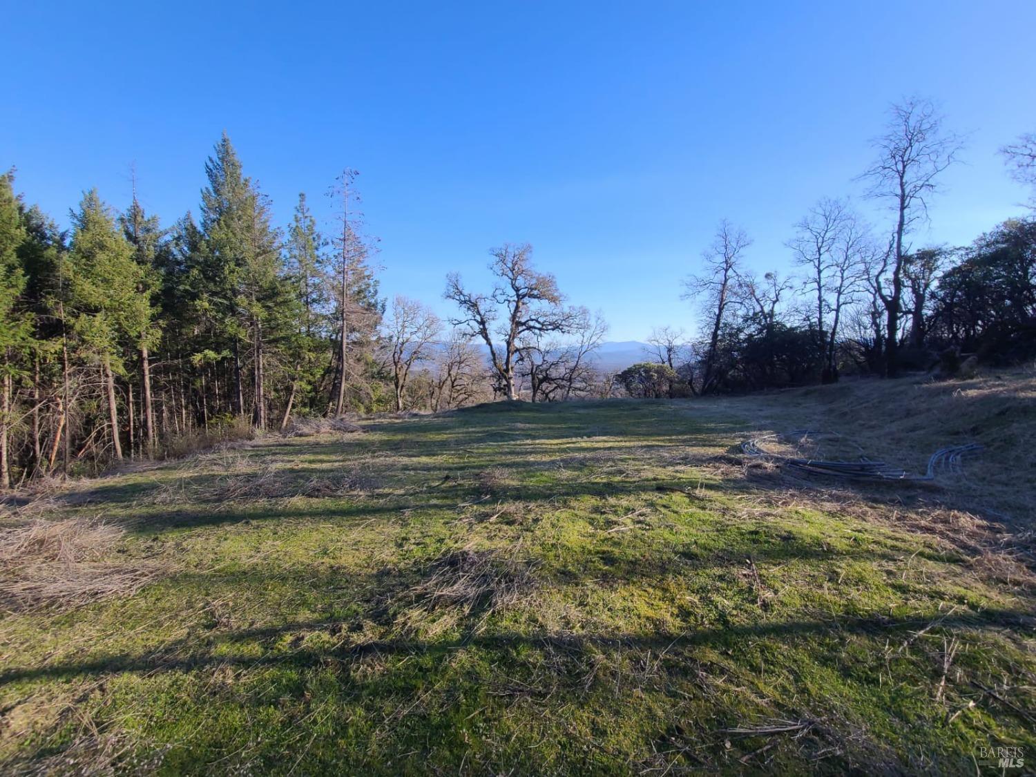 80250 Mina Road Covelo, CA 95428 - Photo 12 of 19 a view of a outdoor space