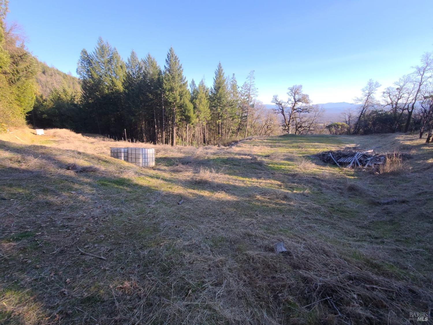 80250 Mina Road Covelo, CA 95428 - Photo 13 of 19 a view of a yard with a tree