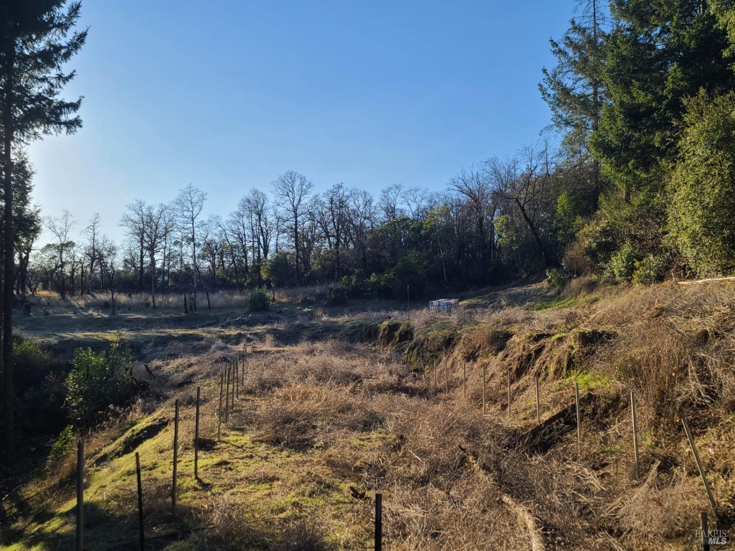 80250 Mina Road Covelo, CA 95428 - Photo 15 of 19 a view of backyard with green space