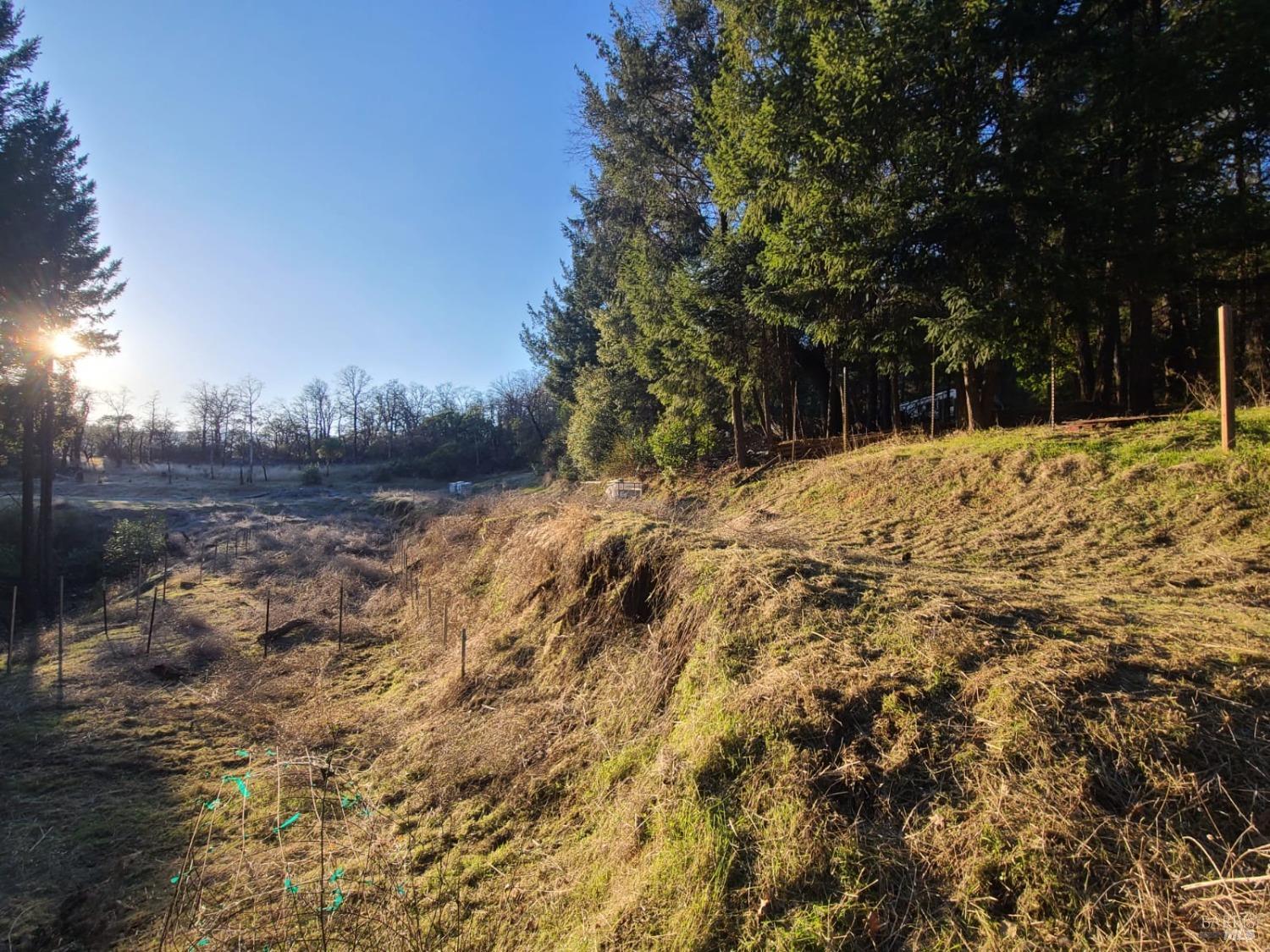 80250 Mina Road Covelo, CA 95428 - Photo 16 of 19 a view of a yard with trees