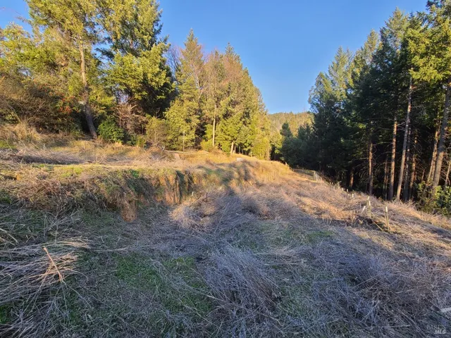 a view of dirt yard with a tree