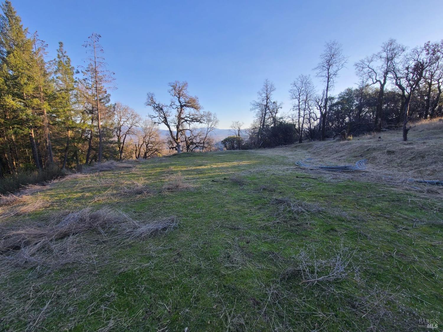 80250 Mina Road Covelo, CA 95428 - Photo 18 of 19 a view of a outdoor space
