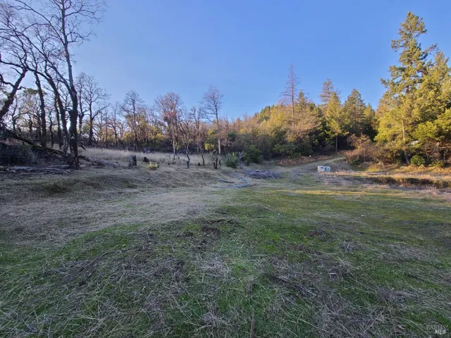 a view of a dirt field with lots of bushes