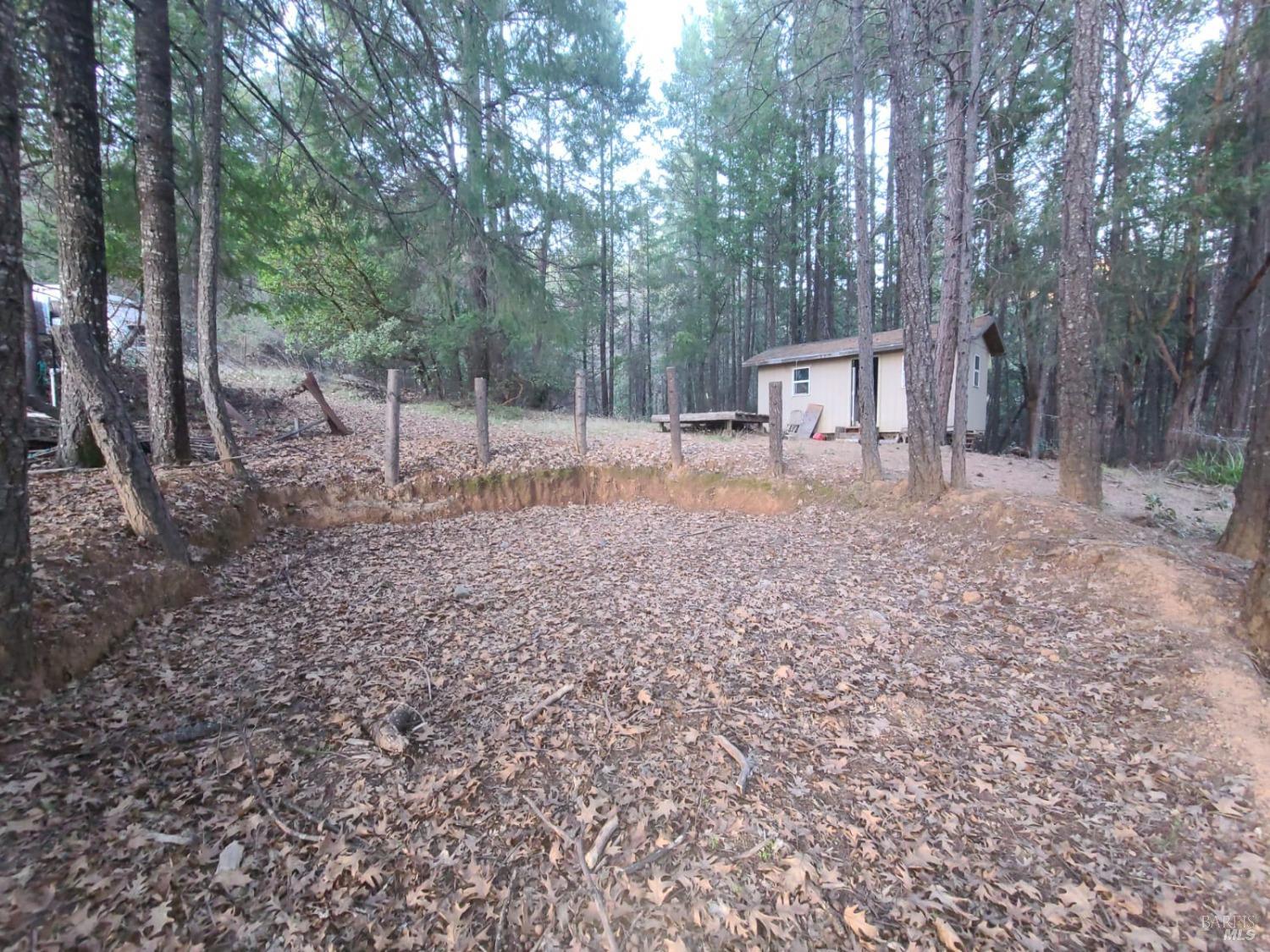 80250 Mina Road Covelo, CA 95428 - Photo 4 of 19 a backyard of a house with lots of green space