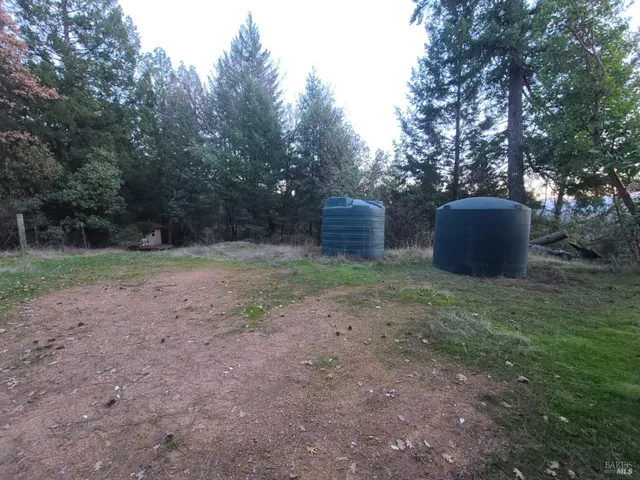 a view of a backyard with trees