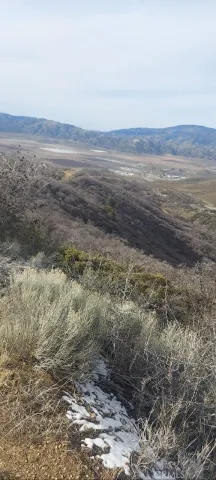 a view of an ocean beach