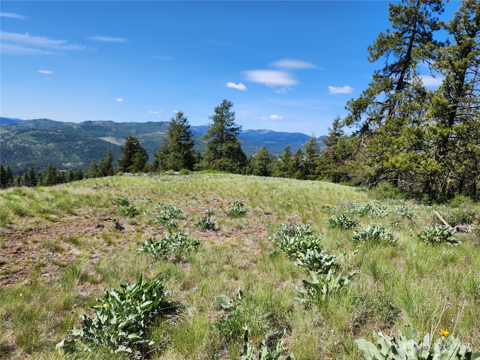 0 East Knob Hill Road Republic, WA 99166 - Photo 2 of 9 a view of an outdoor space and a yard