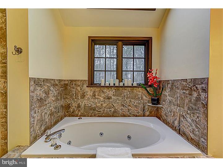 538 North Walnut Road Kennett Square, PA 19348 - Photo 17 of 25 Master Bathroom
