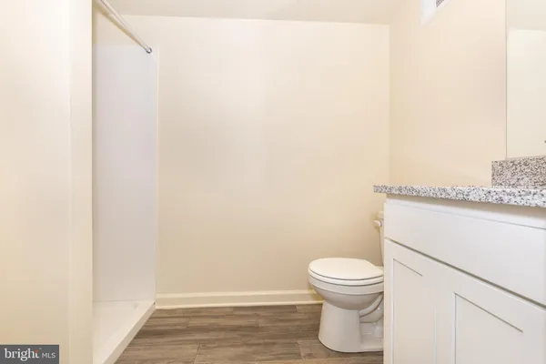 a bathroom with a toilet and a rug