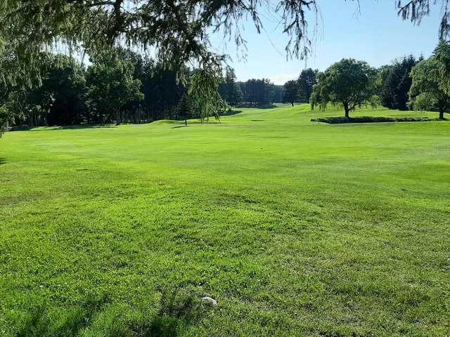 a view of a grassy field with trees