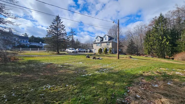 a view of a park with large trees