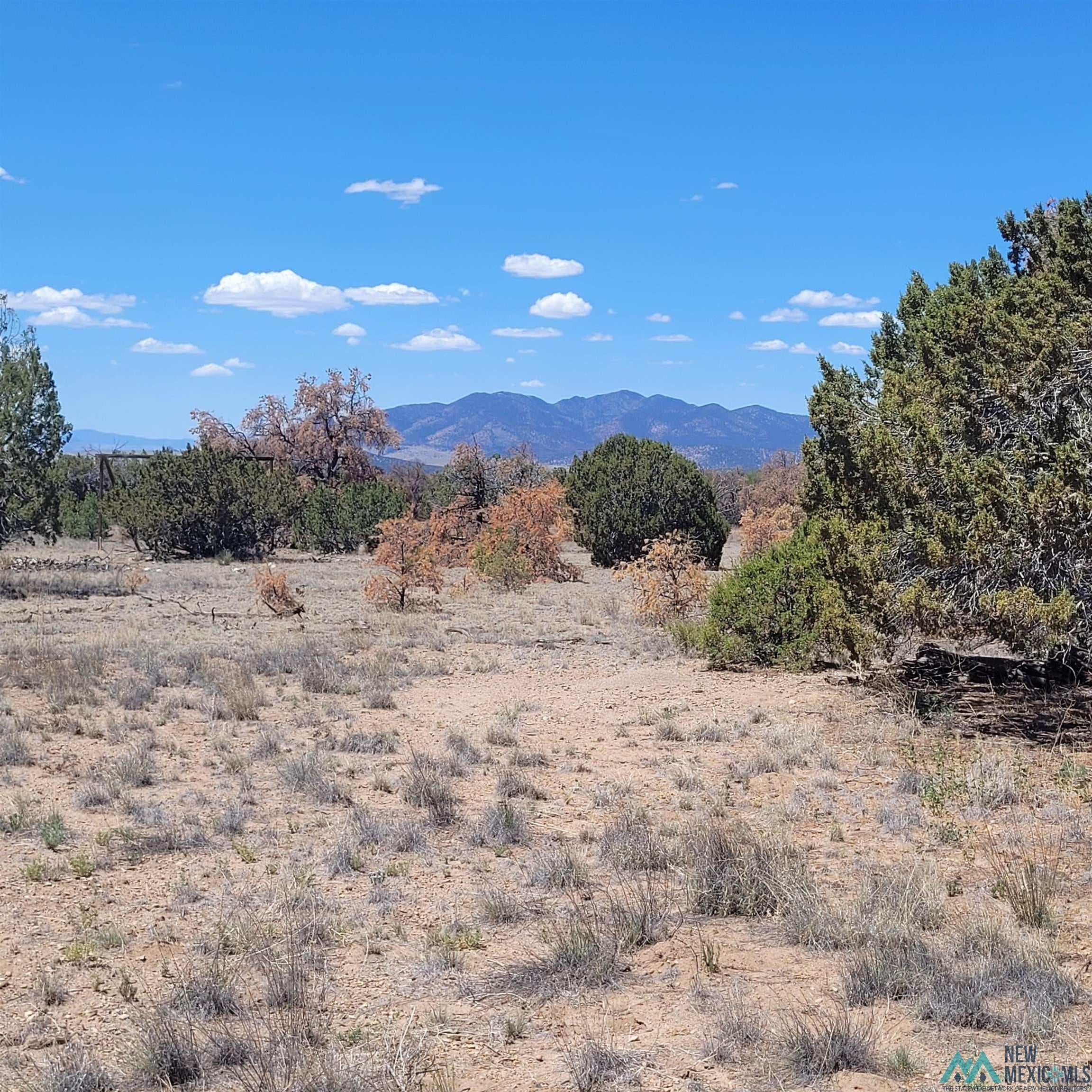 47 Southern Trail, Unit 48 47 Datil, NM 87821 - Photo 13 of 46 Gallery Image 13