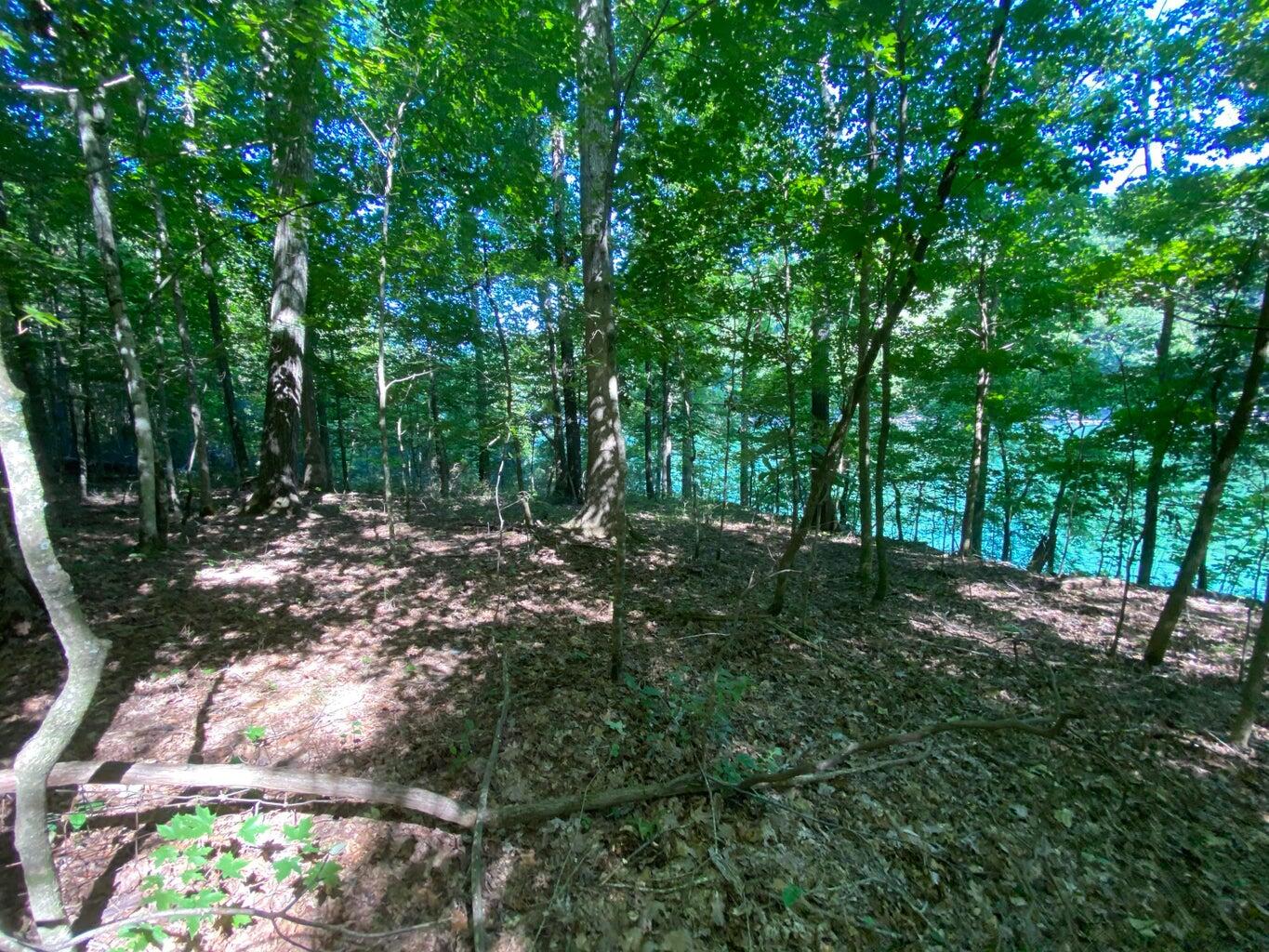 1966 Echo Point Road Bronston, KY 42518 - Photo 8 of 19 pic4