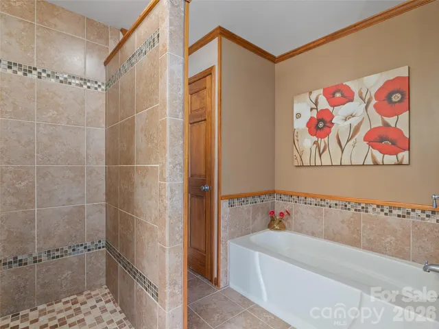 a bathroom with a bathtub and a shower