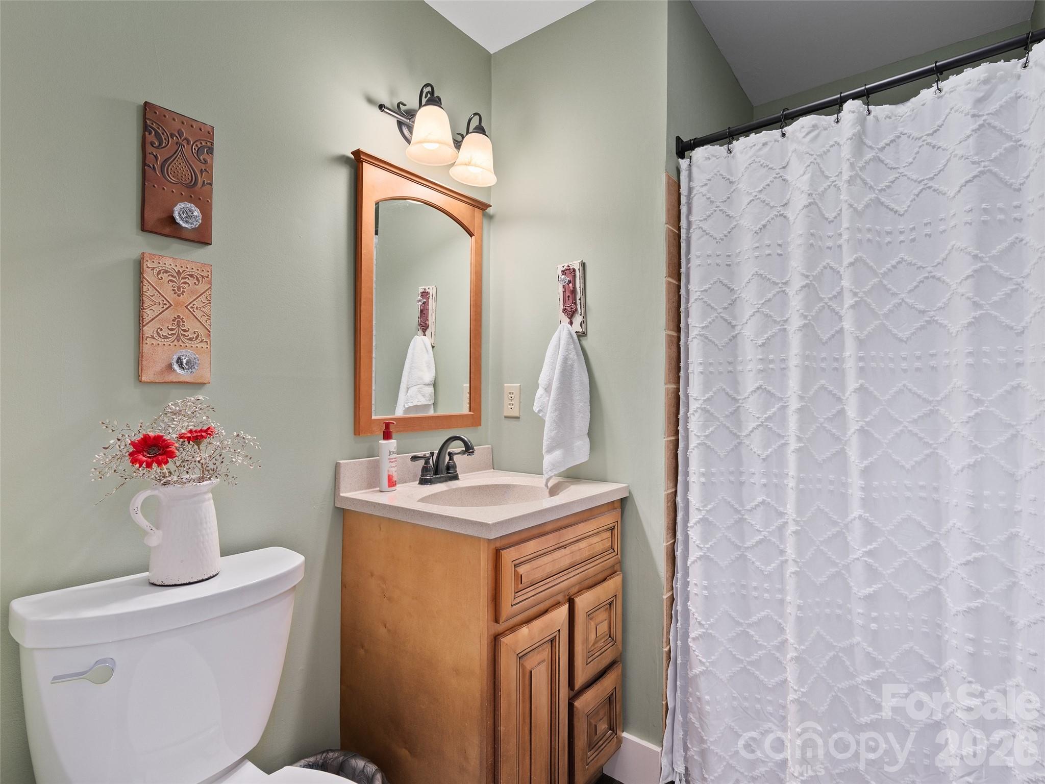 1672 Worley Cove Road Canton, NC 28716 - Photo 10 of 39 a bathroom with a toilet sink and mirror