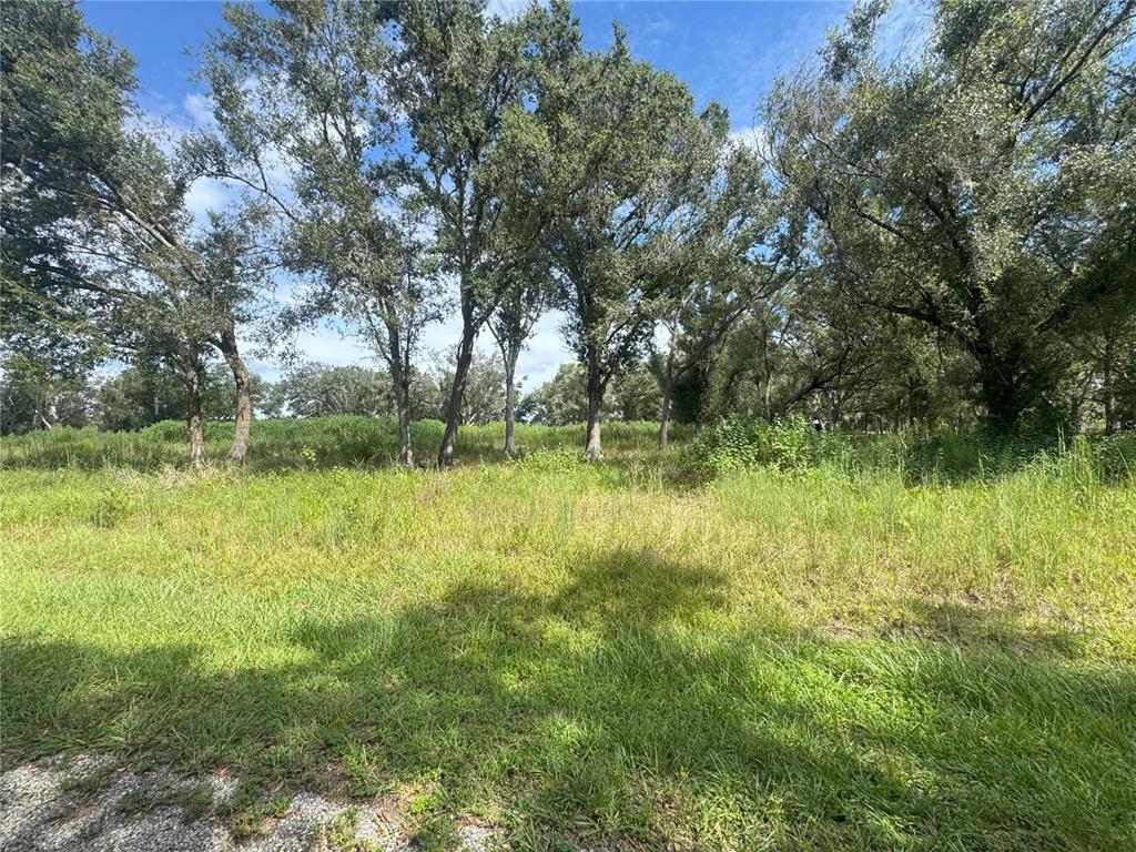 7114 Northwest Lily County Line Road Ona, FL 33865 - Photo 4 of 6 Gallery Image 4
