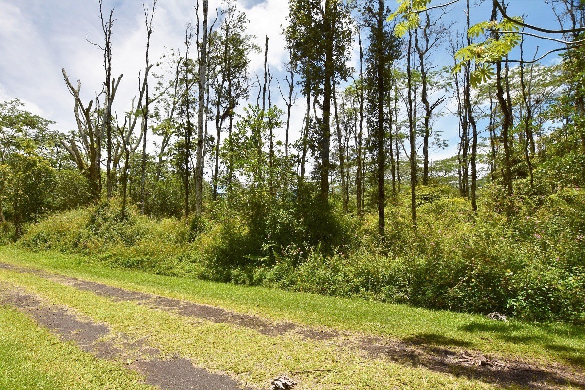 187 Lehua Road Pahoa, HI 96778 - Photo 1 of 18 Gallery Image 1