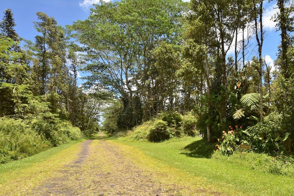 187 Lehua Road Pahoa, HI 96778 - Photo 2 of 18 Gallery Image 2