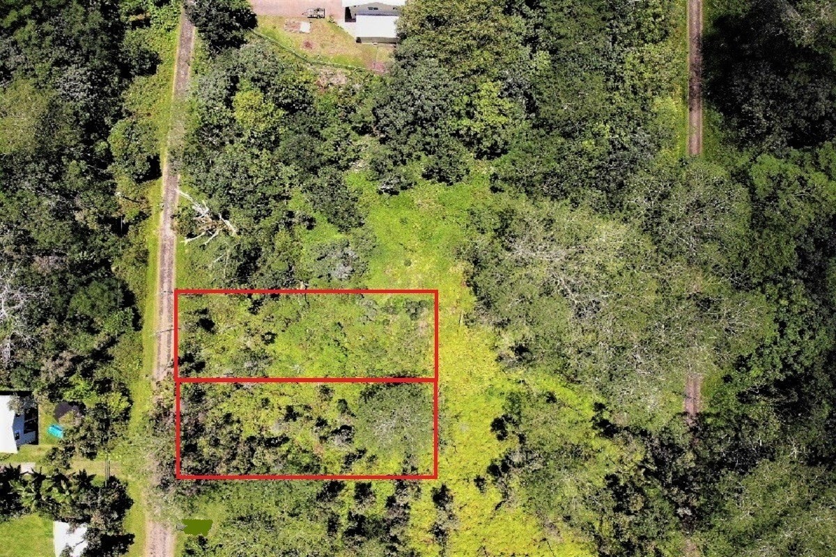 187 Lehua Road Pahoa, HI 96778 - Photo 3 of 18 Gallery Image 3