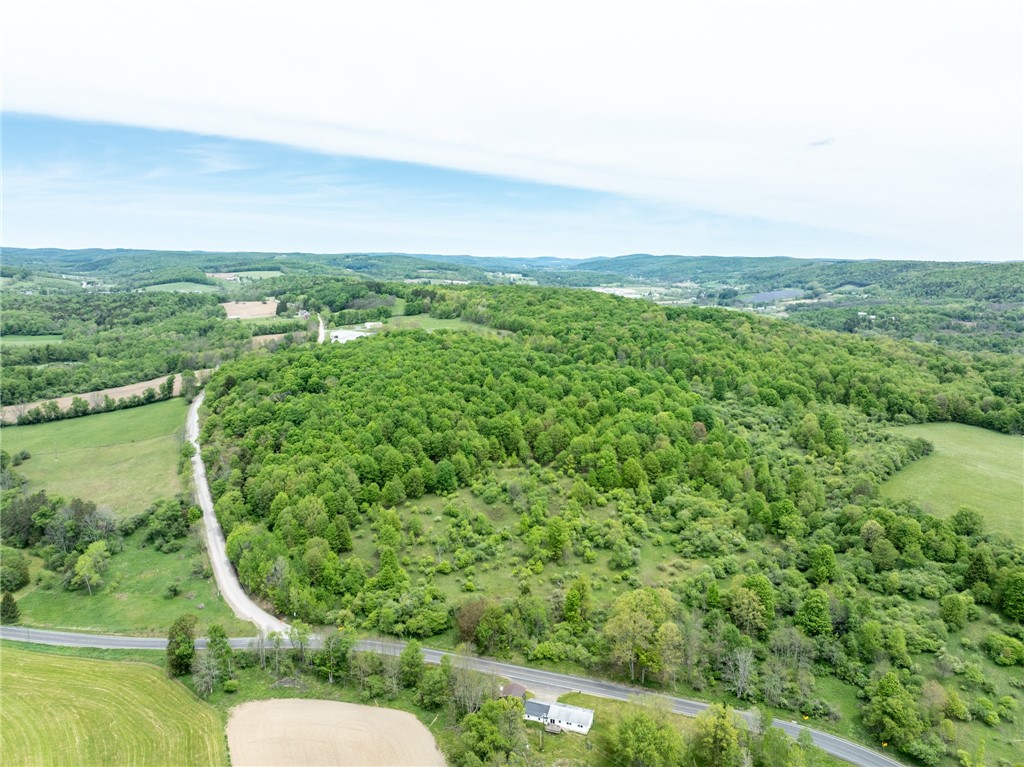 Bell Road New Berlin, NY 13411 - Photo 7 of 11