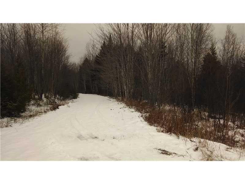 Lot # Prescott Brook Road Springfield, ME 04487 - Photo 2 of 6 Exterior Front.