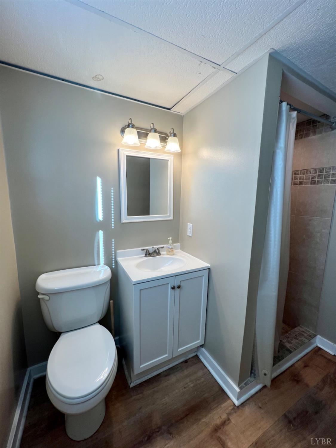 417 Jasper Wood Road Hurt, VA 24563 - Photo 18 of 36 a bathroom with a toilet sink and mirror