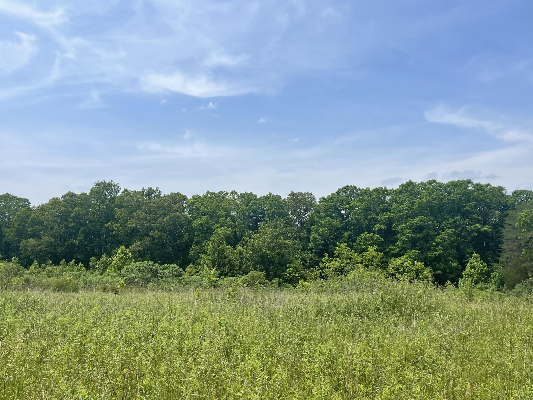 440 Sievers Road Pikeville, TN 37367 - Photo 4 of 9 Gallery Image 4