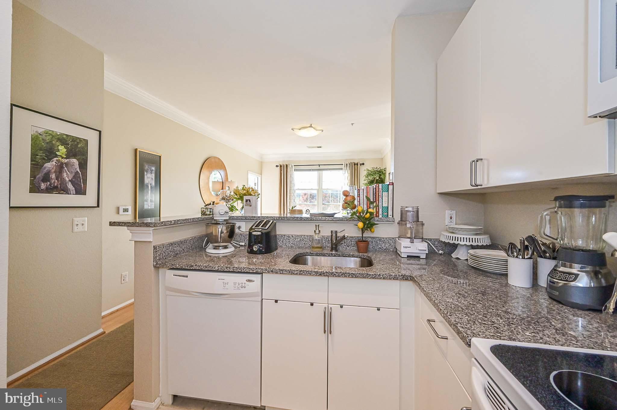 1570 Spring Gate Dr., Unit 7302 McLean, VA 22102 - Photo 5 of 47