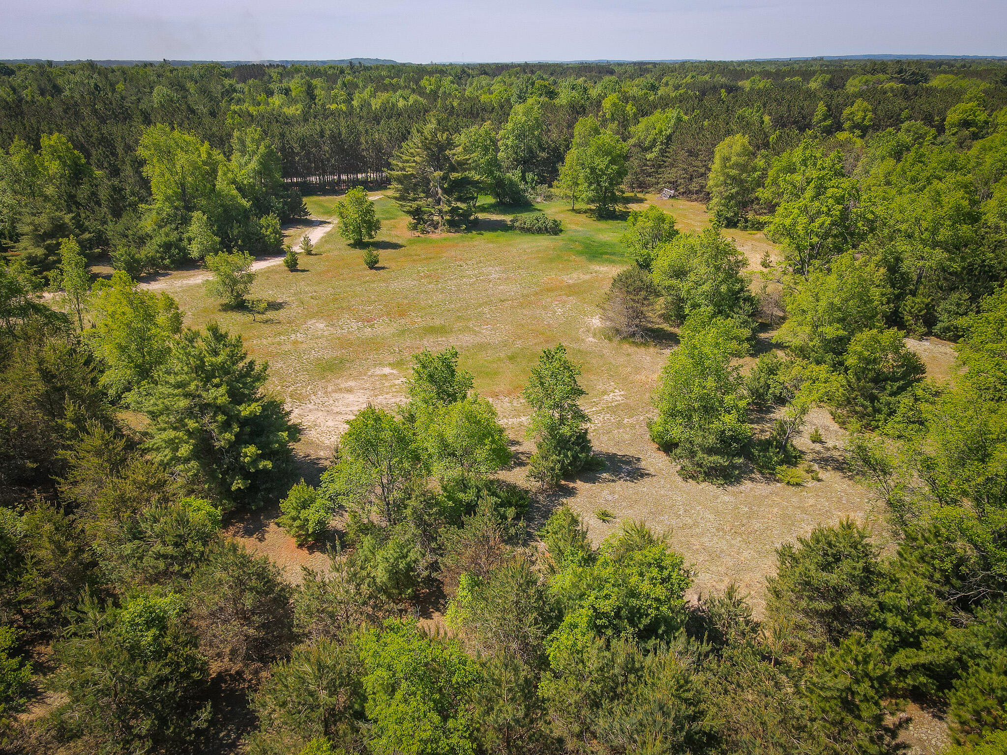 Parcel A Makinen Road Kaleva, MI 49645 - Photo 8 of 29 DJI_0286